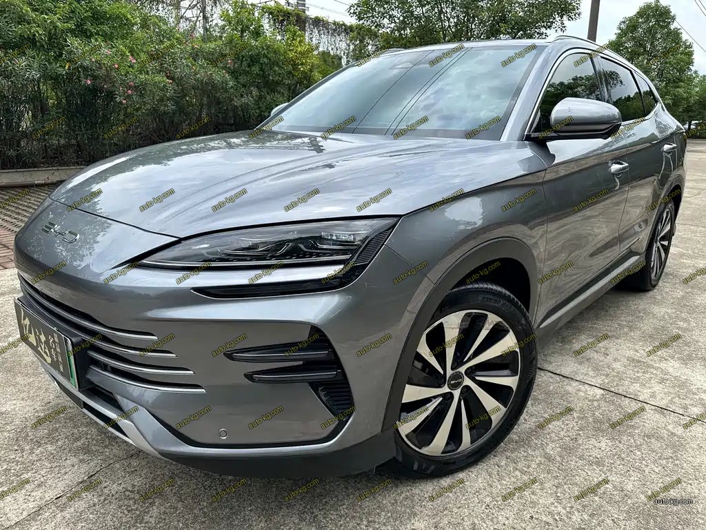 BYD PLUS New Energy 2024