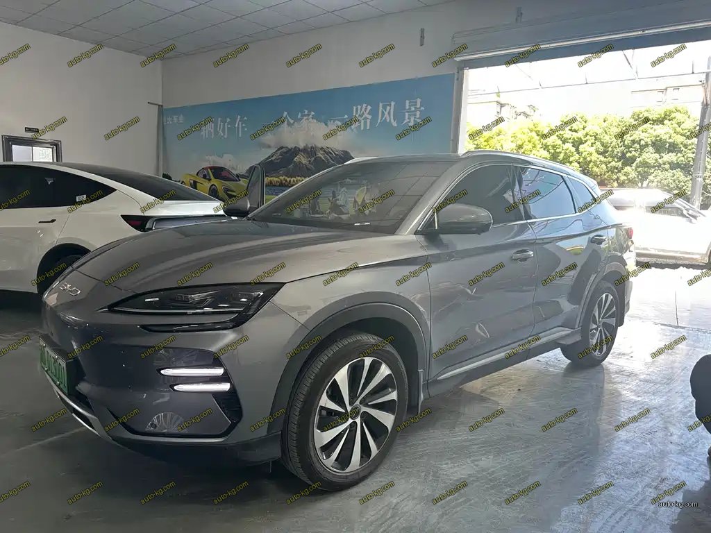 BYD PLUS New Energy 2023
