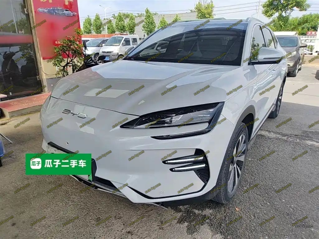 BYD PLUS New Energy 2024