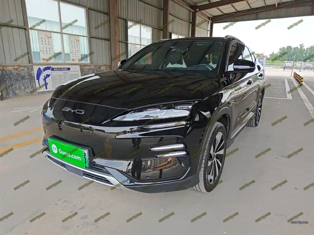 BYD PLUS New Energy 2024