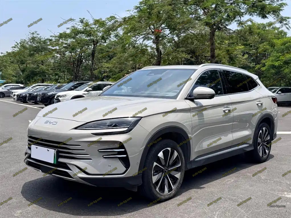 BYD PLUS New Energy 2024