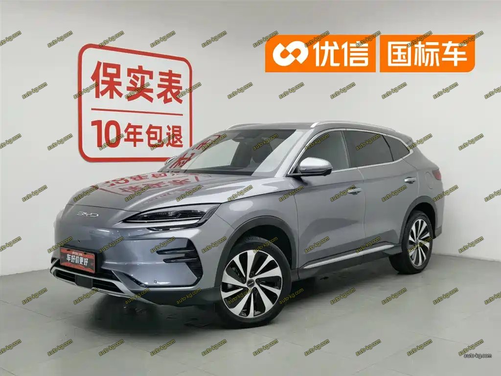 BYD PLUS New Energy 2024
