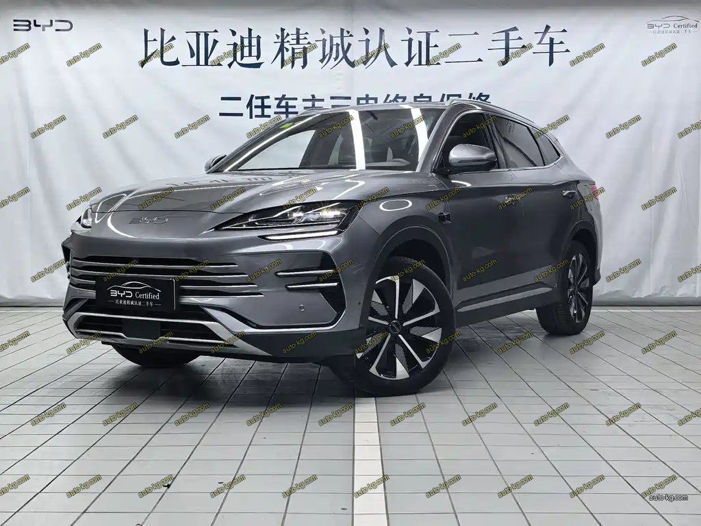 BYD PLUS New Energy 2025