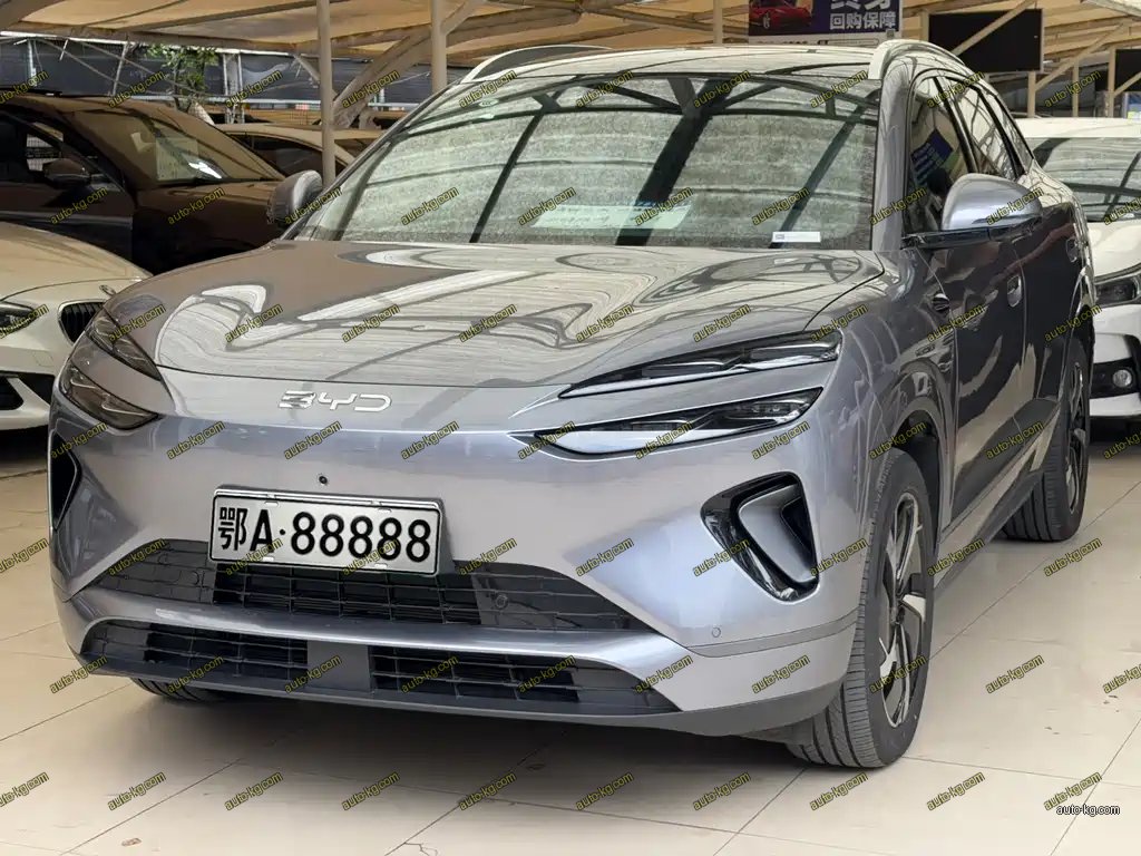 BYD 海狮06 2025