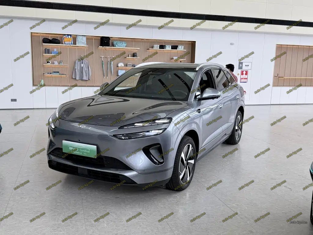 BYD 海狮06 2025
