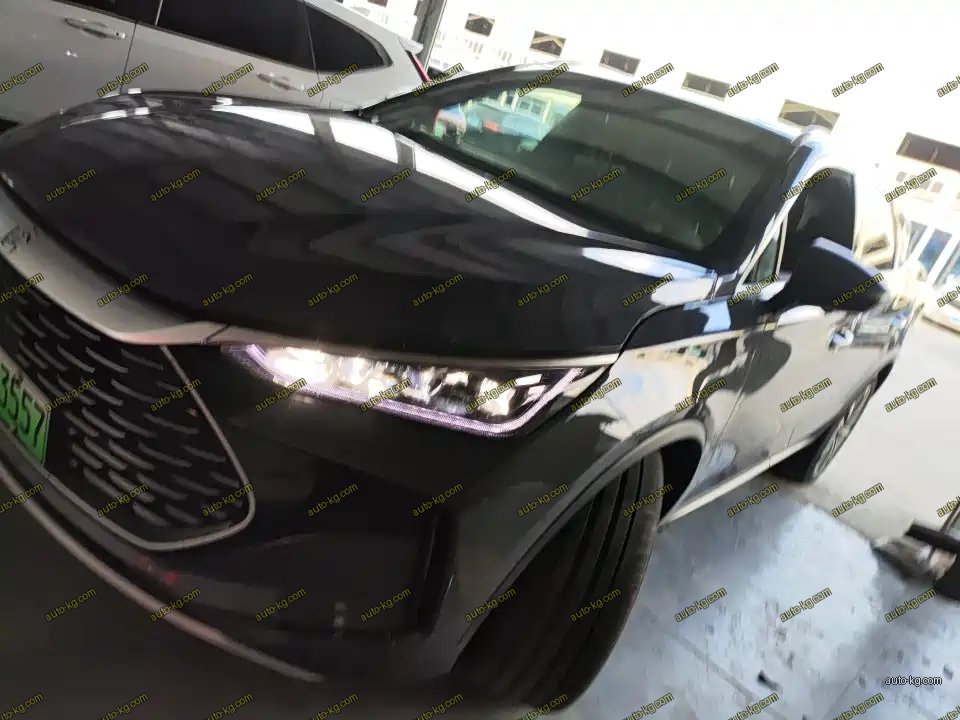 BYD Tang New Energy 2024
