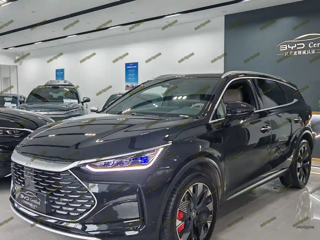 BYD Tang New Energy 2024