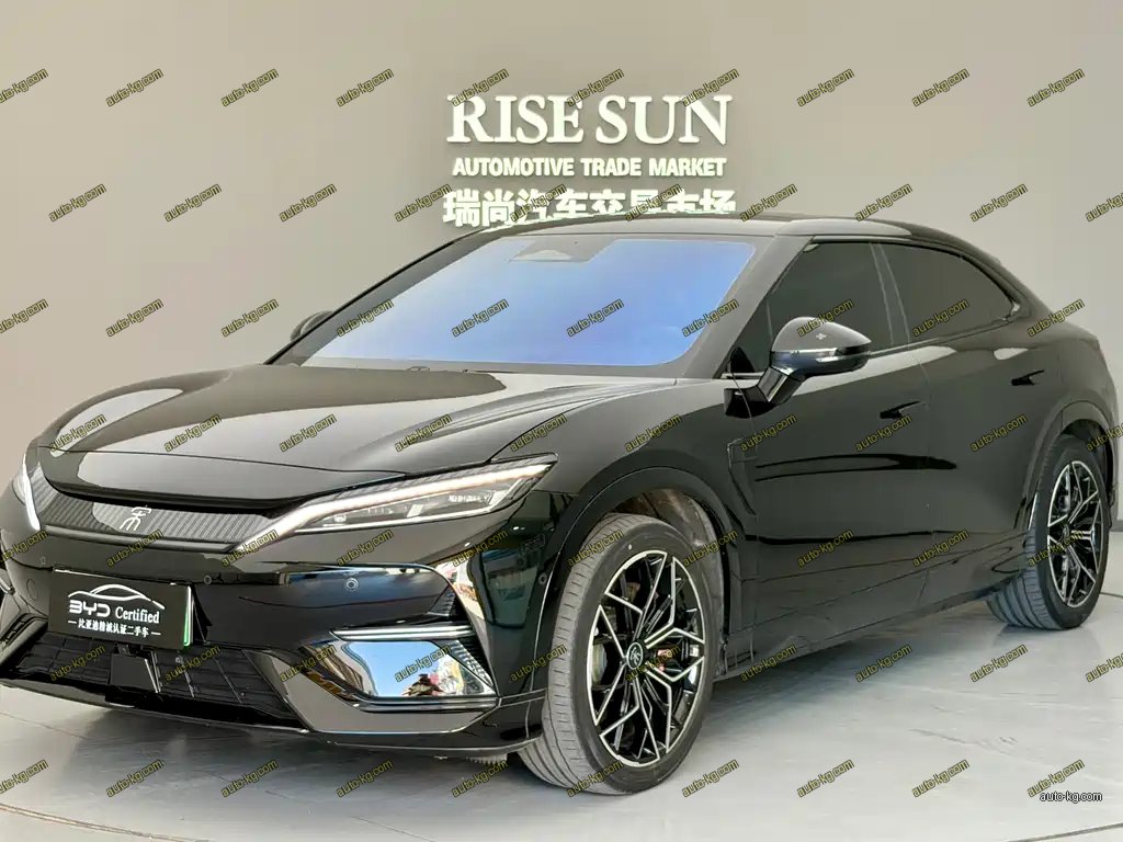 BYD L EV 2024
