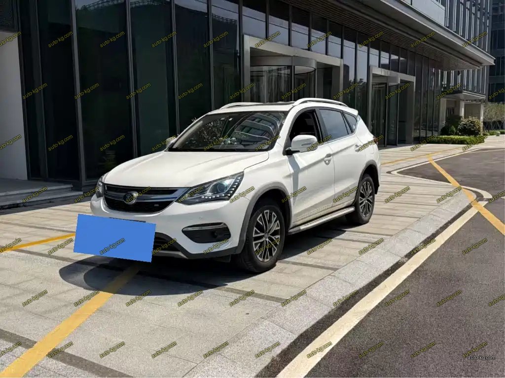 BYD New Energy 2018