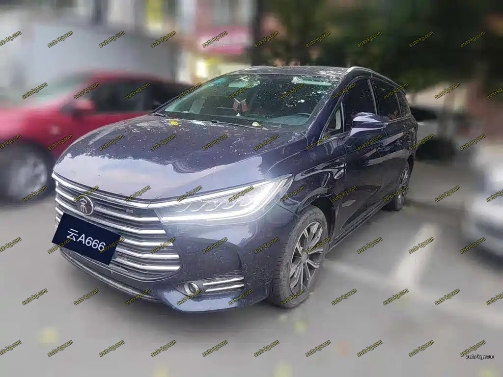 BYD MAX 2020