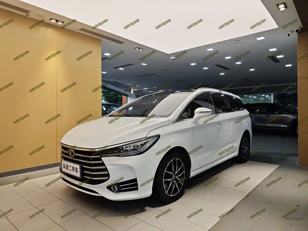 BYD MAX 2019