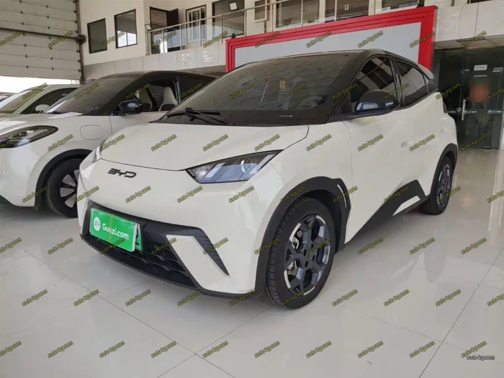 BYD Seagull 2023