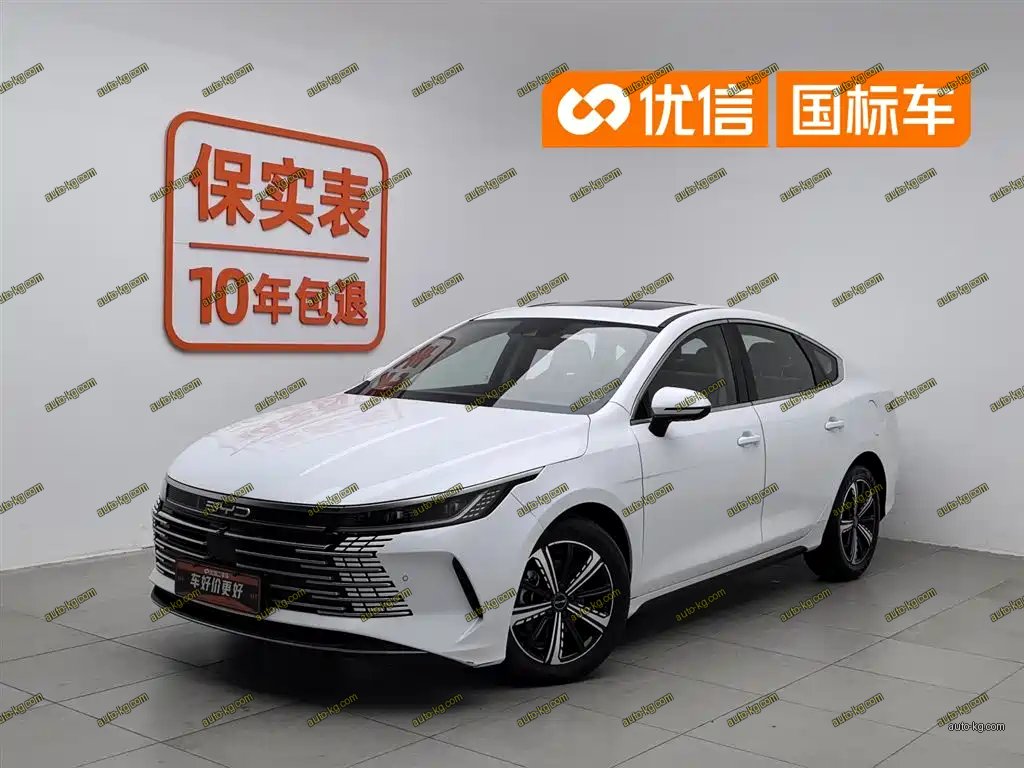 BYD Destroyer 05 2022