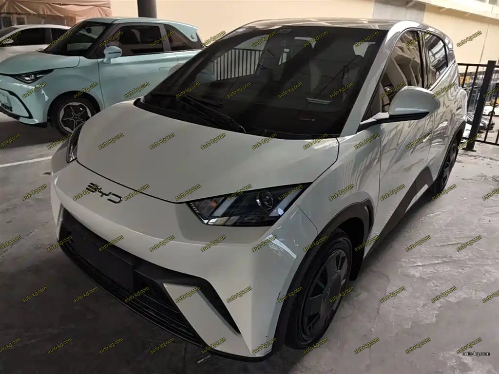 BYD Seagull 2023
