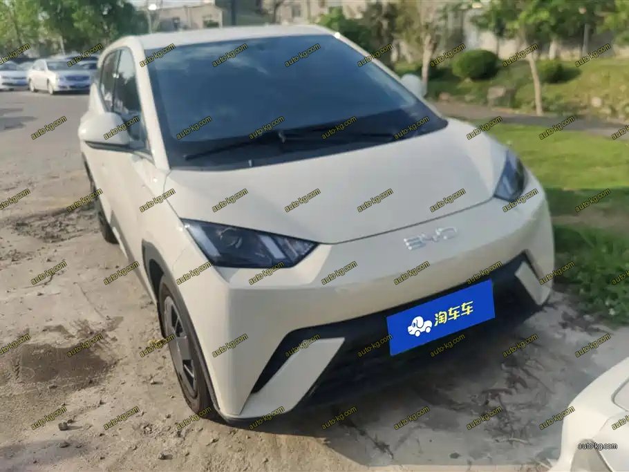 BYD Seagull 2024
