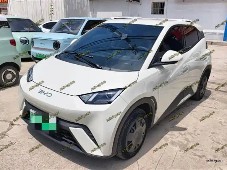 BYD Seagull 2024