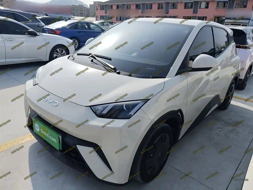 BYD Seagull 2024