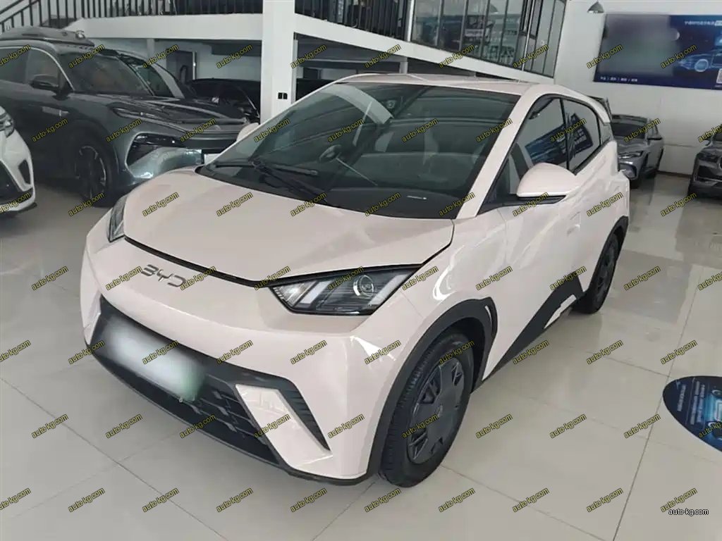 BYD Seagull 2024