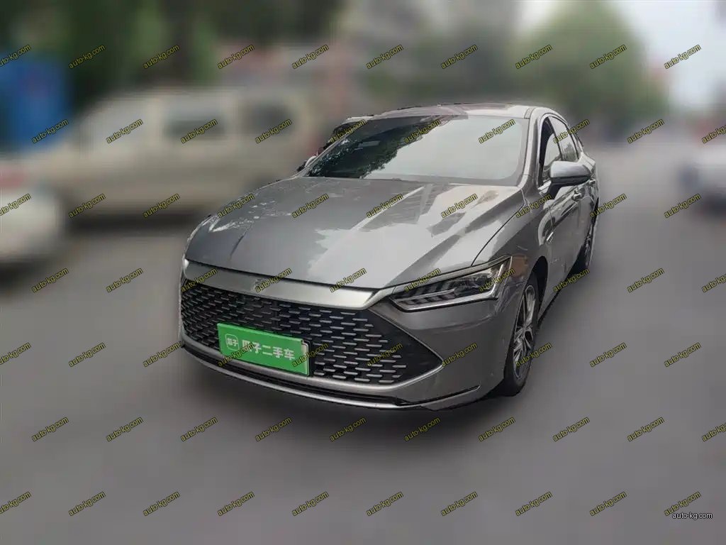 BYD Qin PLUS 2022