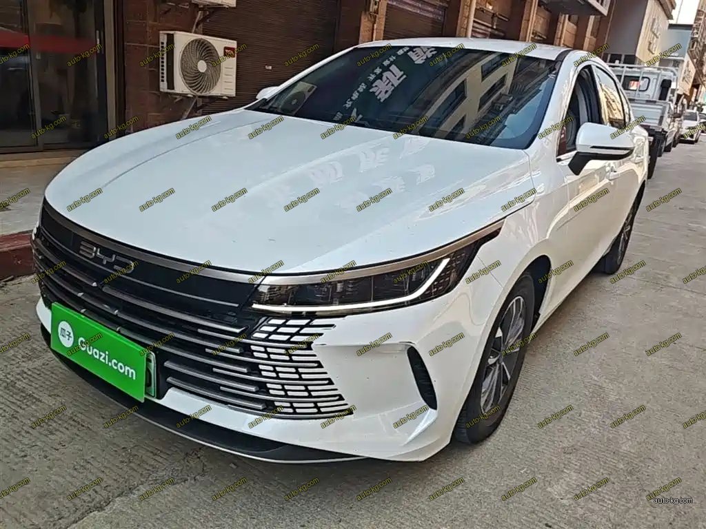 BYD Destroyer 05 2024