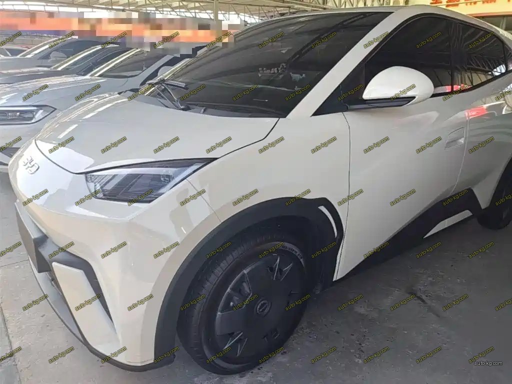 BYD Seagull 2024