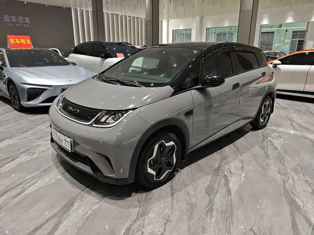 BYD Dolphin 2022