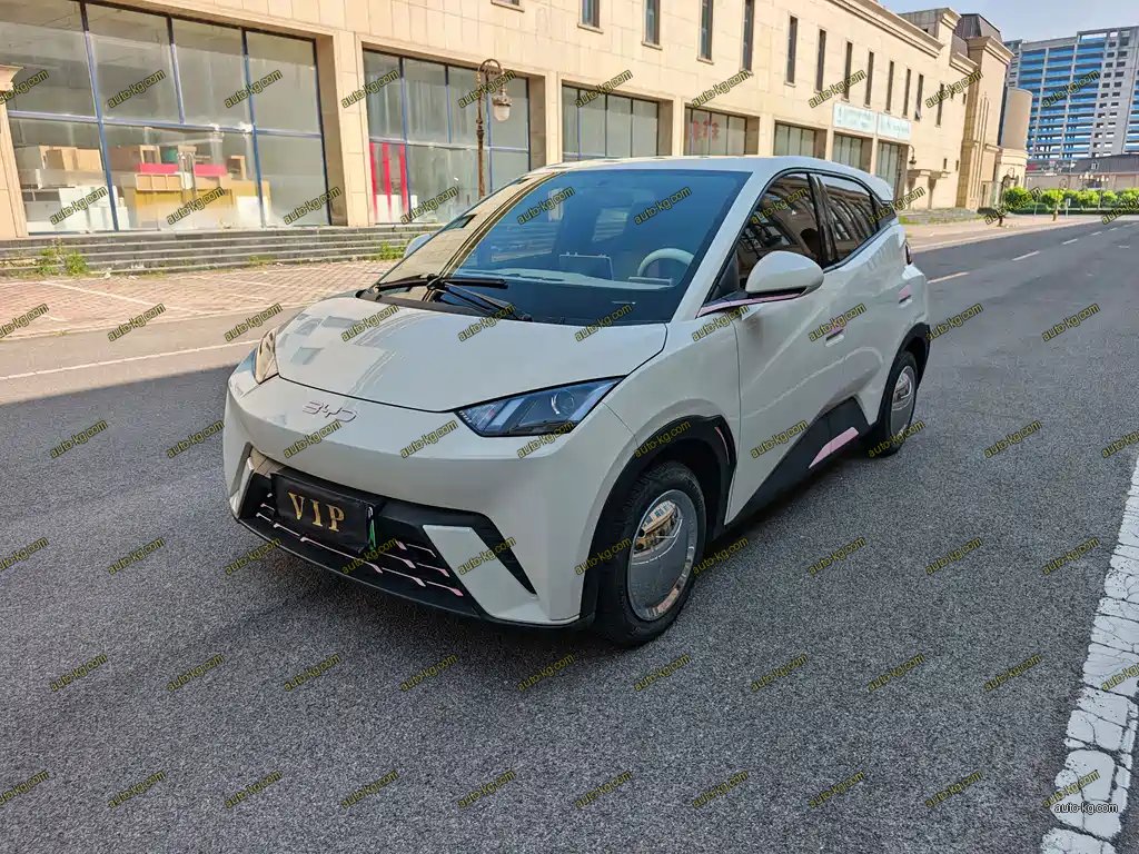 BYD Seagull 2024