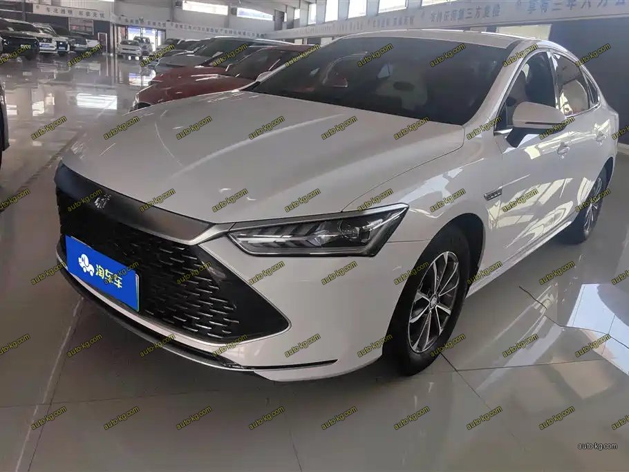 BYD Qin PLUS 2023