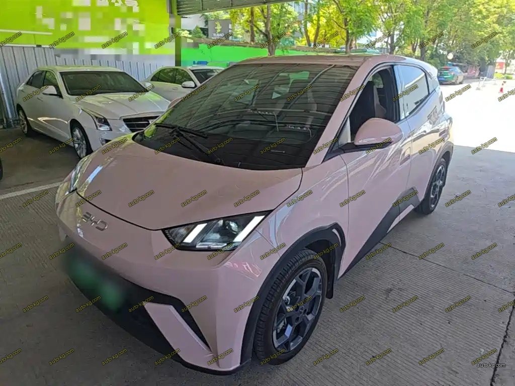 BYD Seagull 2024