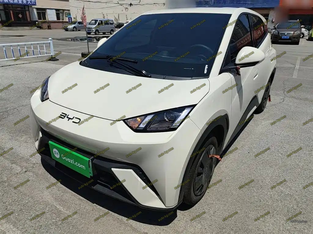BYD Seagull 2024