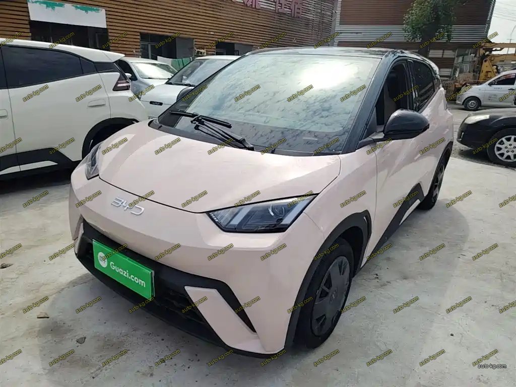 BYD Seagull 2024