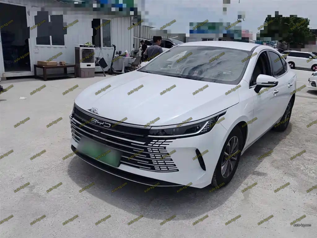 BYD Destroyer 05 2024