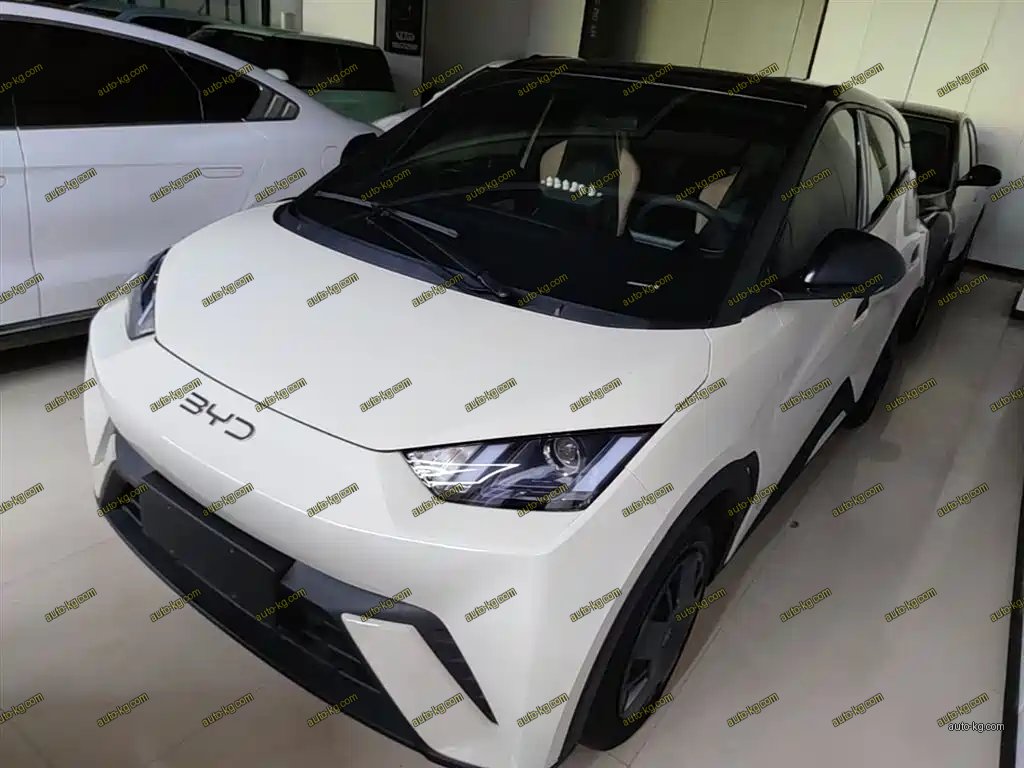 BYD Seagull 2024