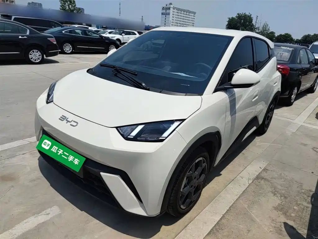 BYD Seagull 2025