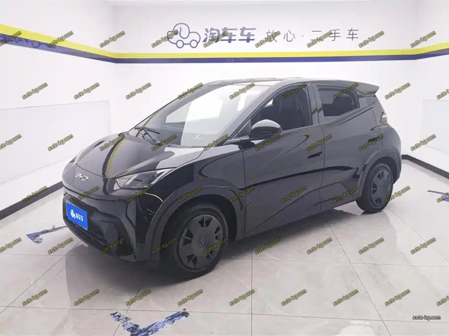 BYD Seagull 2024