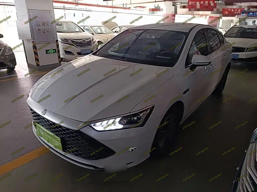 BYD Qin PLUS 2024
