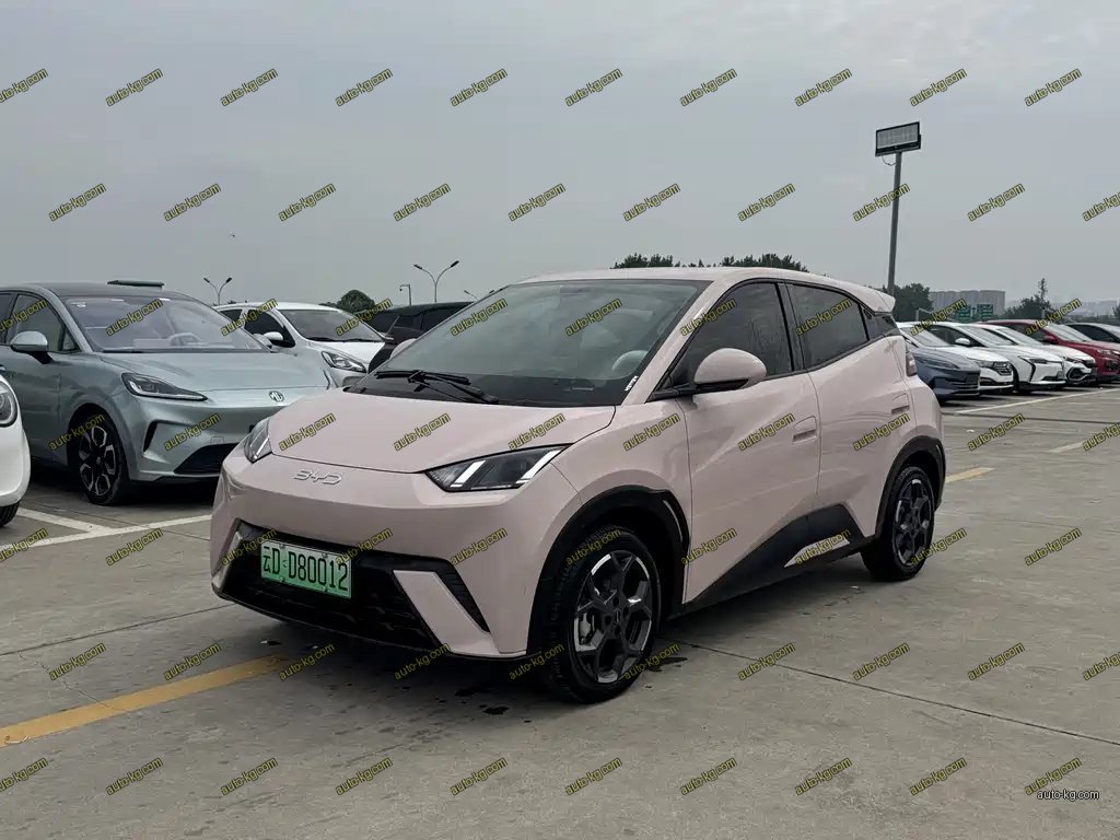 BYD Seagull 2025
