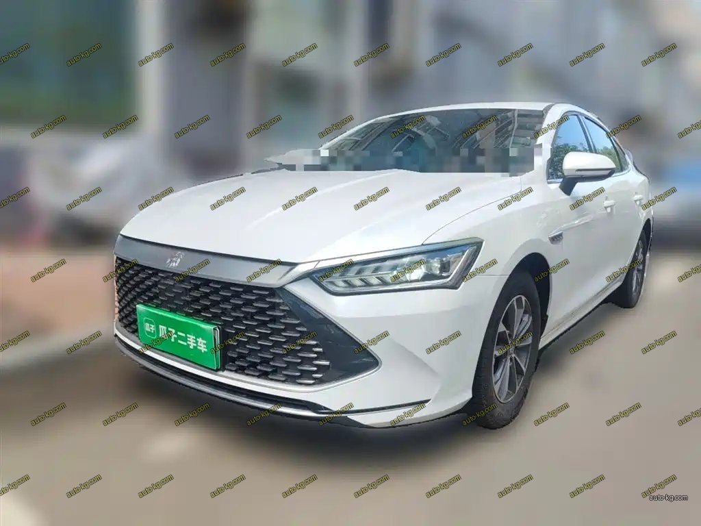 BYD Qin PLUS 2024
