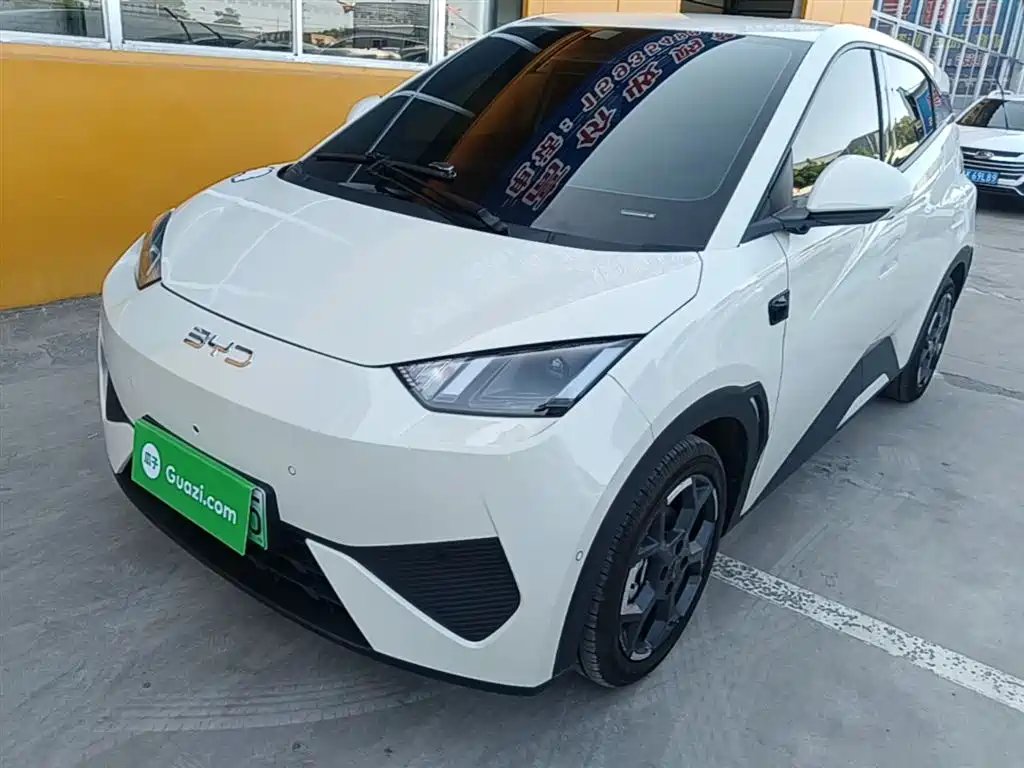 BYD Seagull 2025