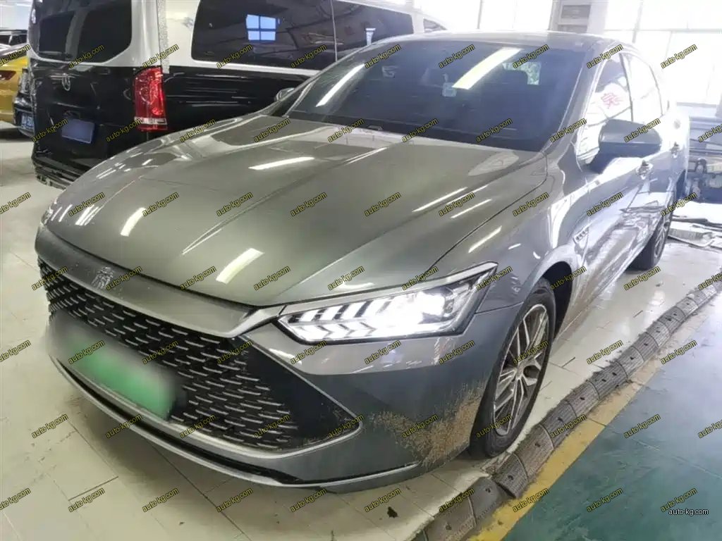 BYD Qin PLUS 2024