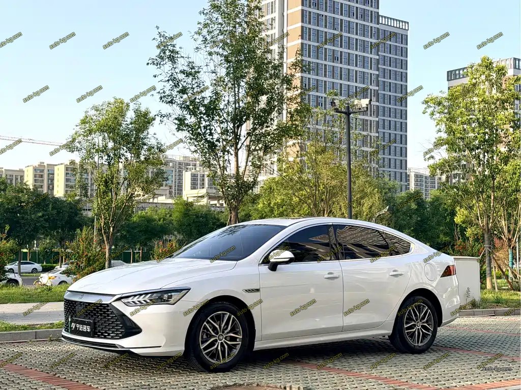 BYD Qin PLUS 2024