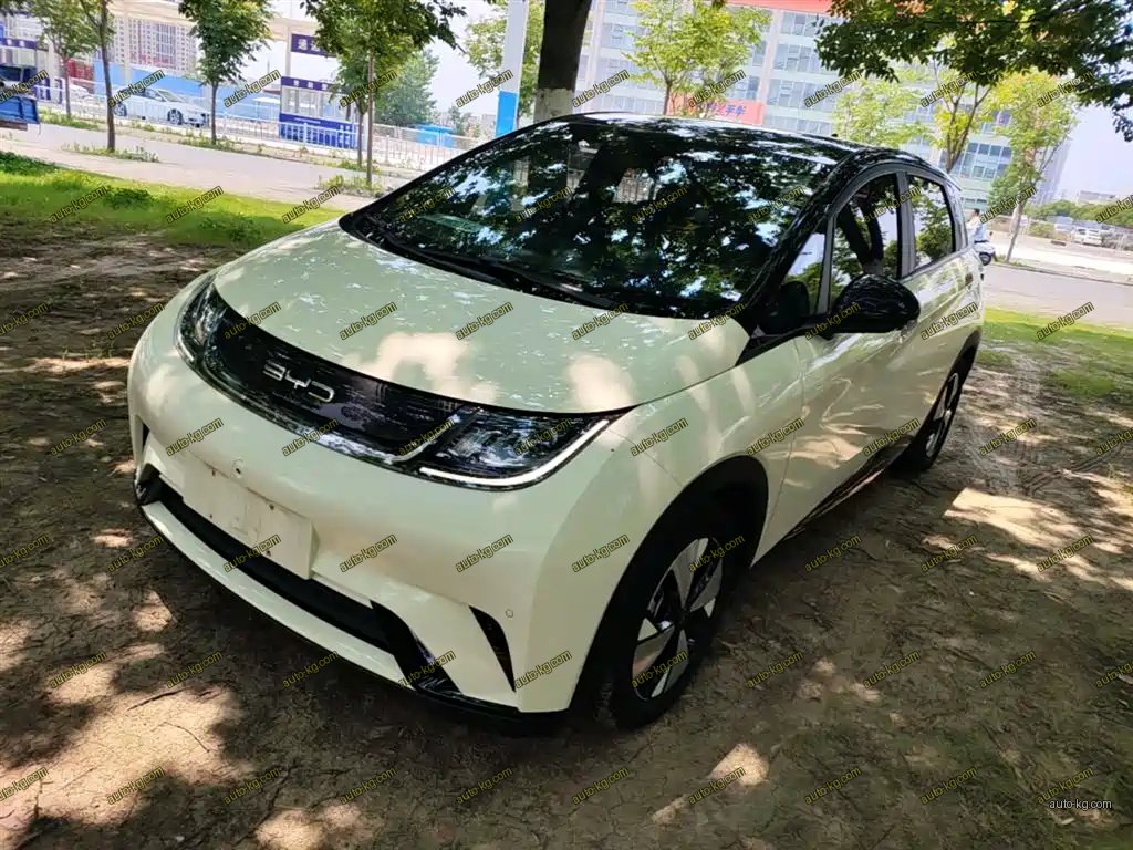 BYD Dolphin 2023