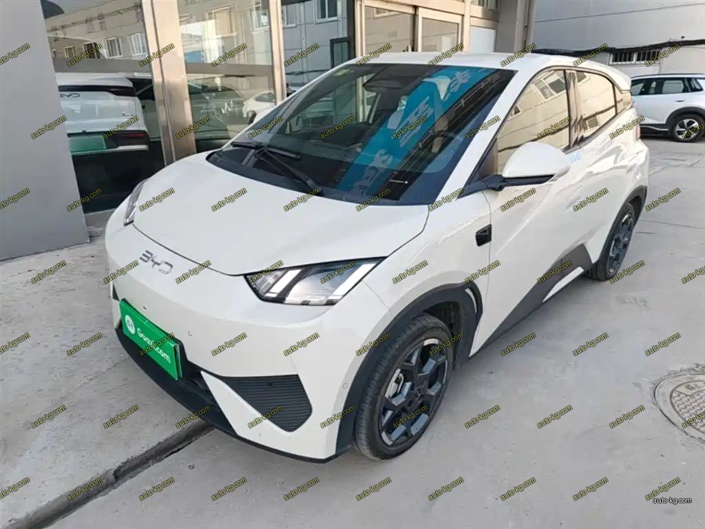 BYD Seagull 2025