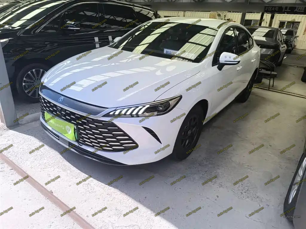 BYD Qin PLUS 2025