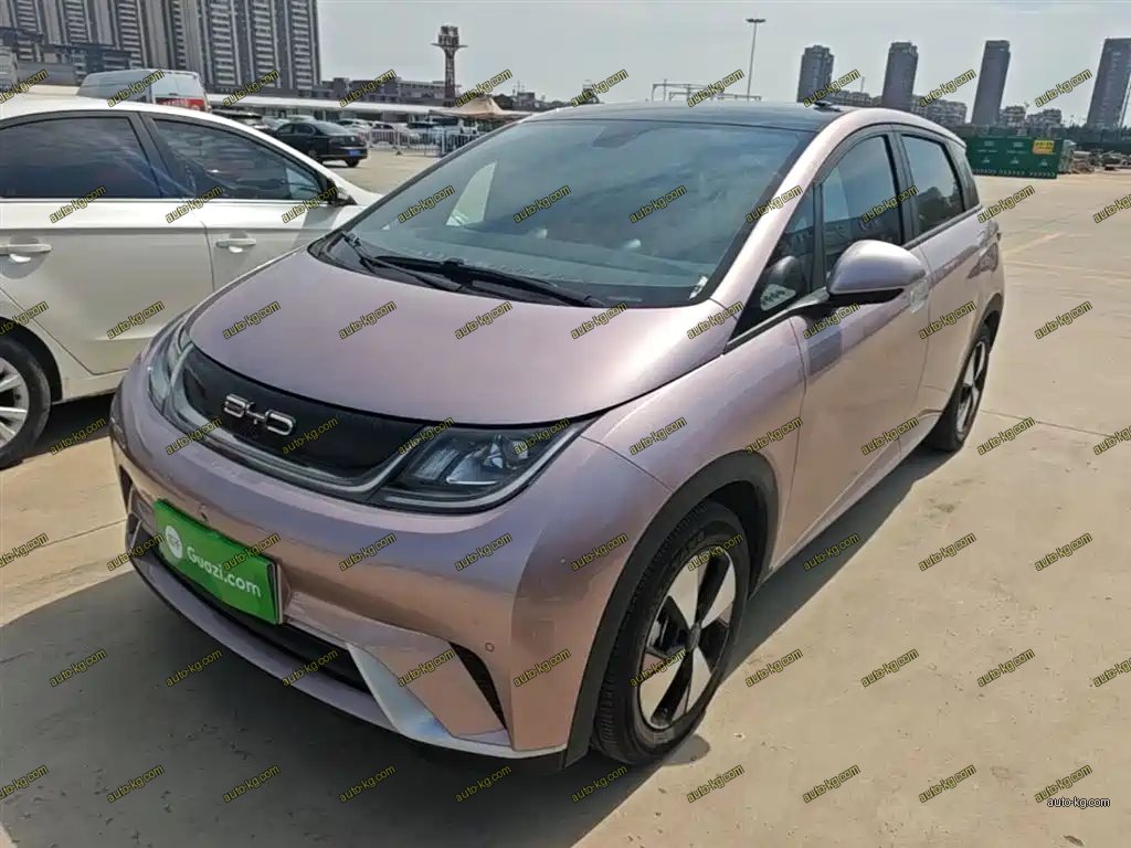 BYD Dolphin 2023