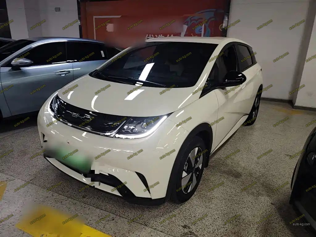 BYD Dolphin 2023