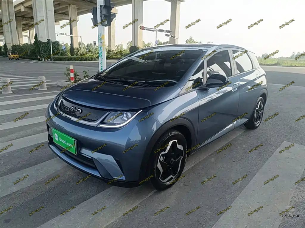 BYD Dolphin 2025