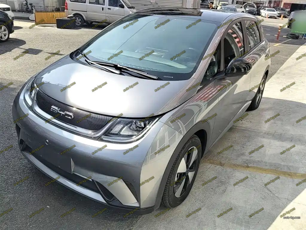 BYD Dolphin 2023