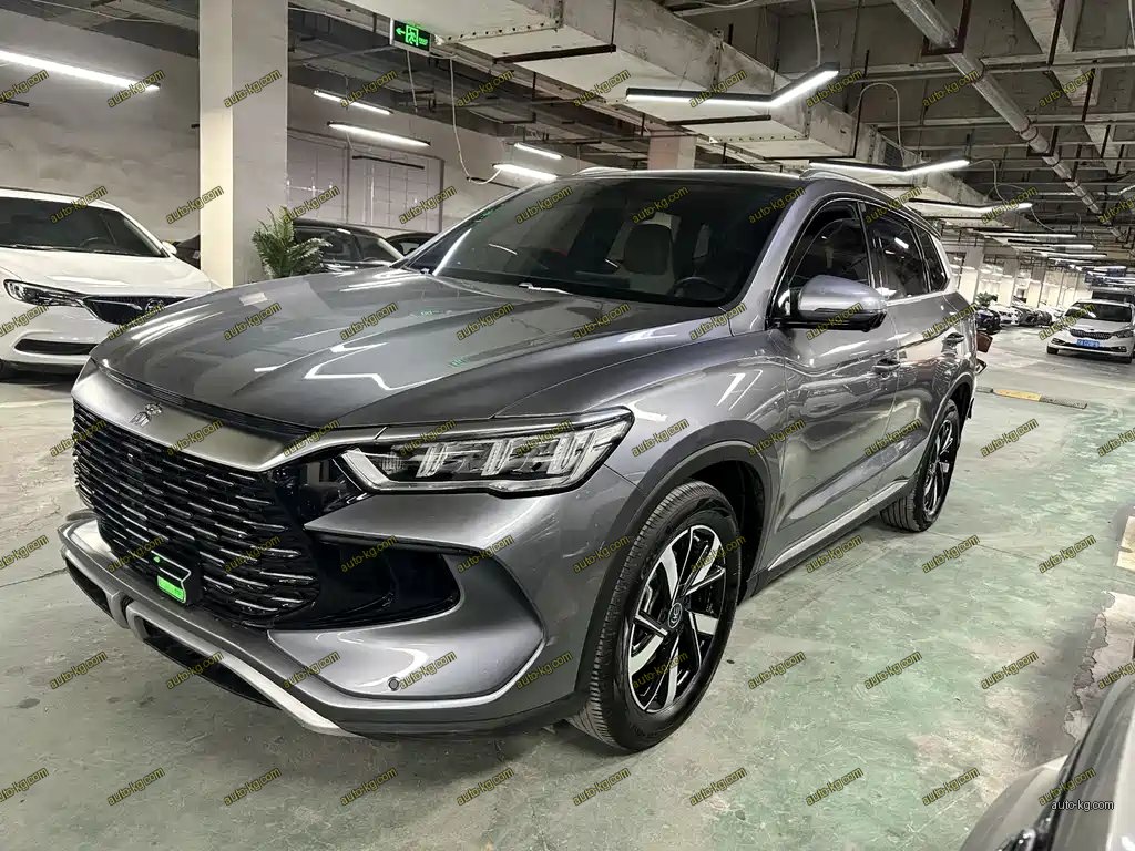 BYD Pro New Energy 2025