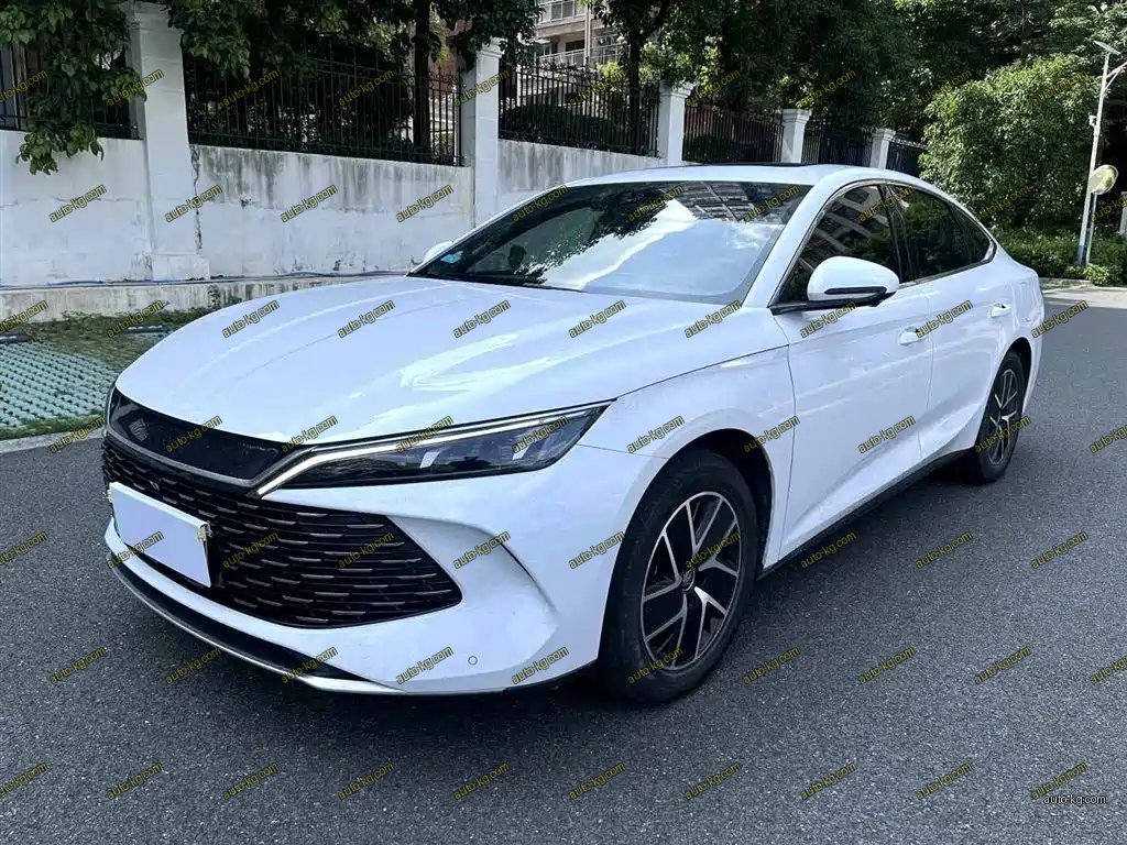 BYD Qin L 2024